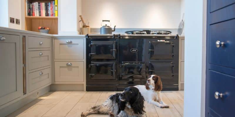 Two dogs lying on the wooden floor of a kitchen with a stove and cabinets.